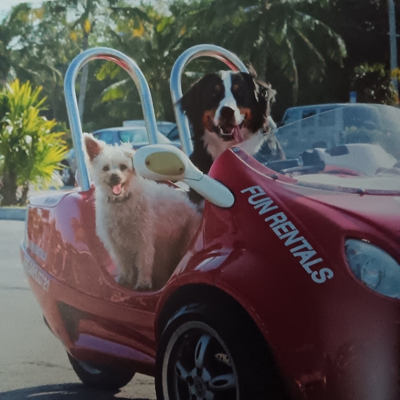 Big Dog, Little Dog Book - Picture 10 of 10